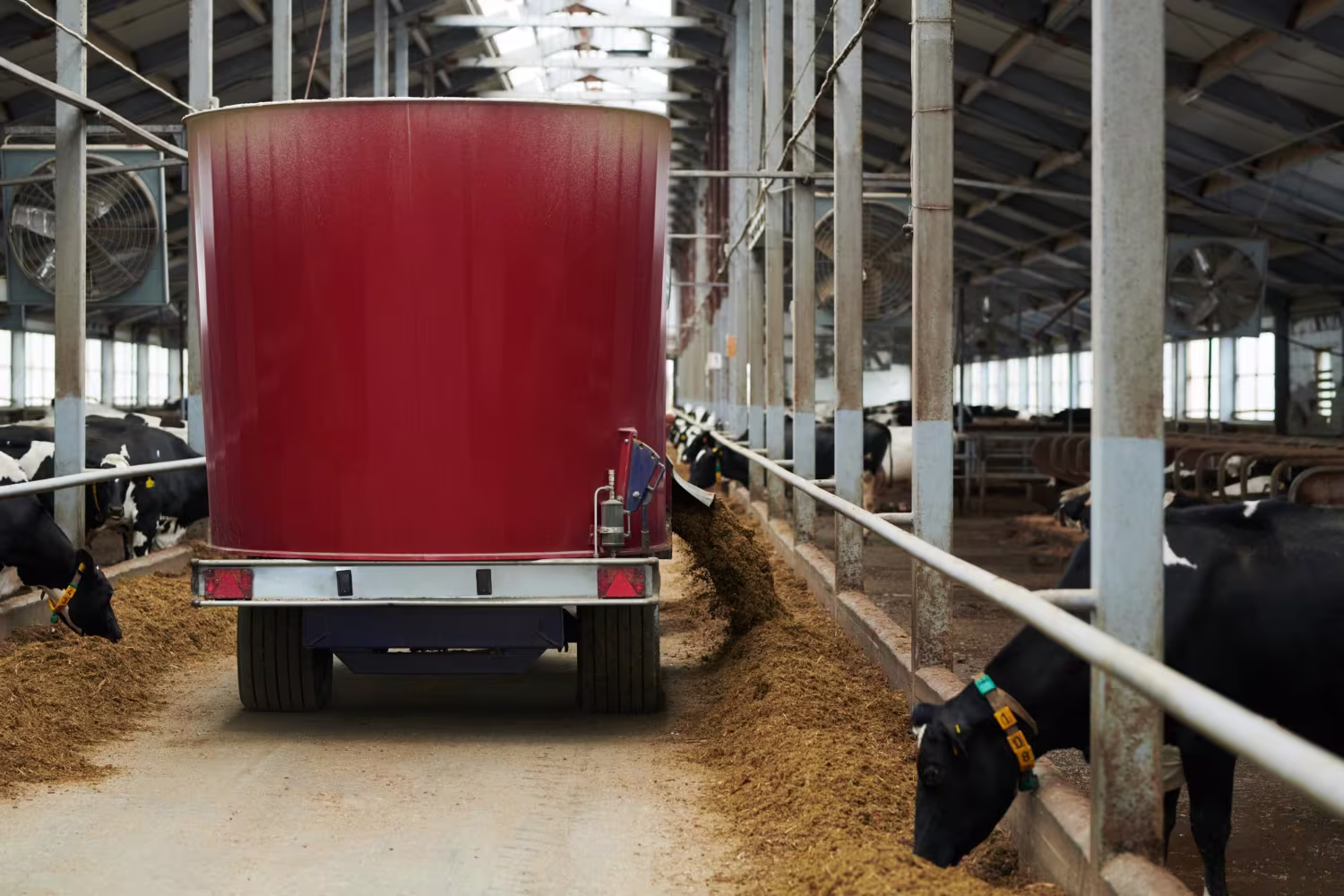 Livestock carrier vessel supporting an international live cattle shipment